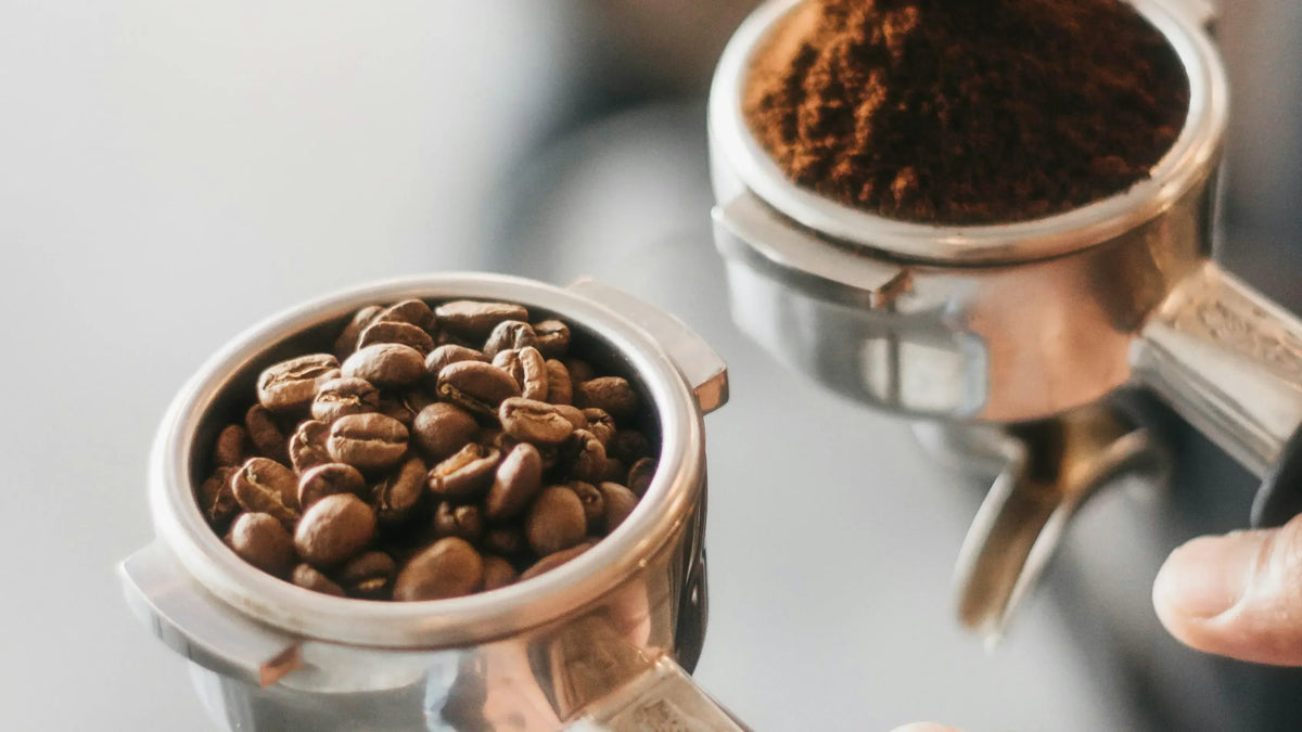 Close-up of coffee beans and freshly ground coffee.